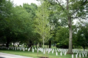 memorial-trees