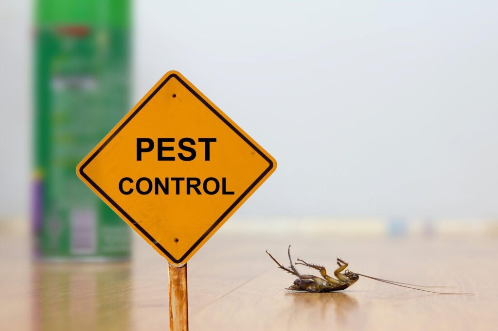 Emergency-Pest-Control-Tips