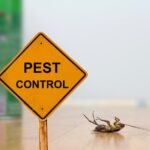Emergency-Pest-Control-Tips