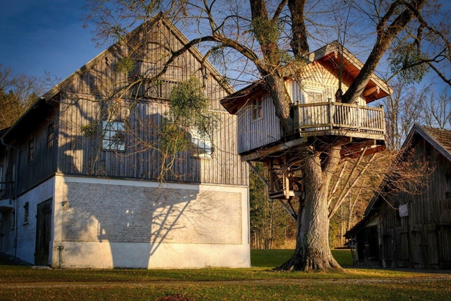 First-Treehouse-Camping-Trip