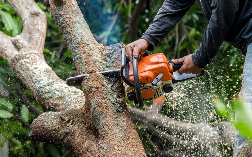 tree-trimming-in-New-Market