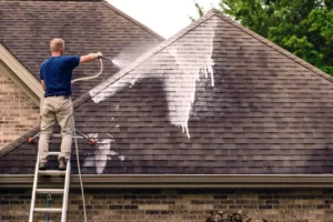 Soft-Wash-Roof-Cleaning